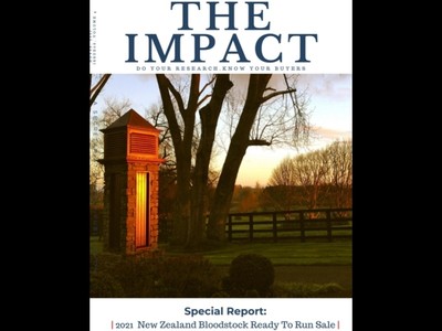 The Impact 2021 Volume 4 Issue 68 Image 1